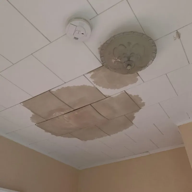 Ceiling Water Damage Repair in Elk Run Heights, IA