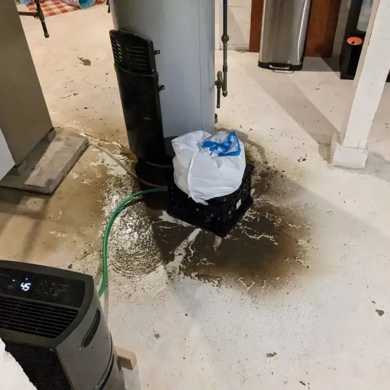 Sewage Backup Cleanup Service in Elk Run Heights, IA